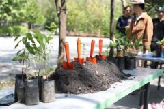 LINE_ALBUM_CSR-220224_240228_23